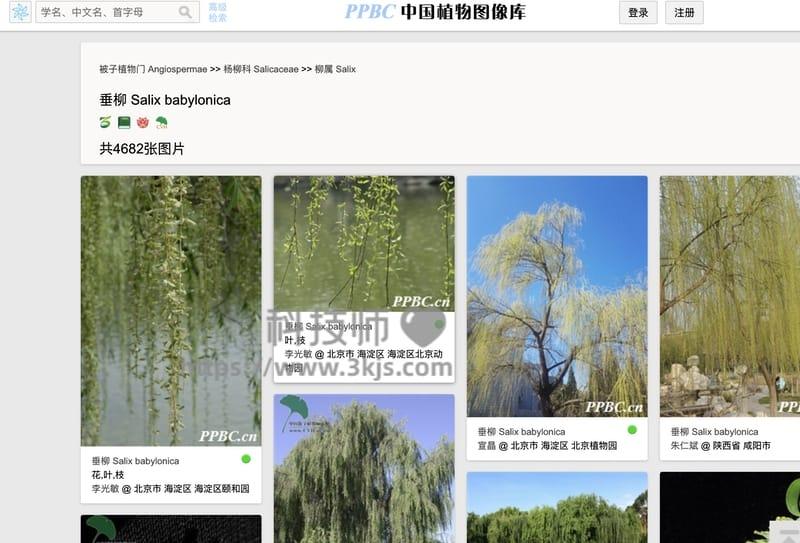 PPBC中国植物图像库 - 植物图片在线图库(含教程)