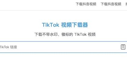 TikVideo.App - 在线TikTok视频下载工具