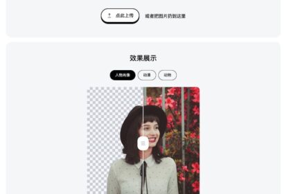 0v0.ai Remove Background - 图片去背景在线工具