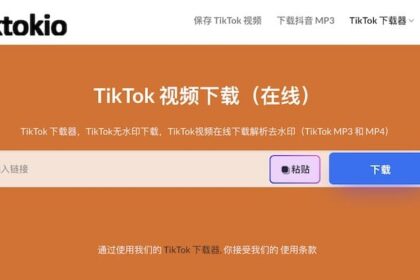 TikTokio - 在线TikTok视频下载工具