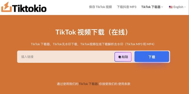 TikTokio - 在线TikTok视频下载工具