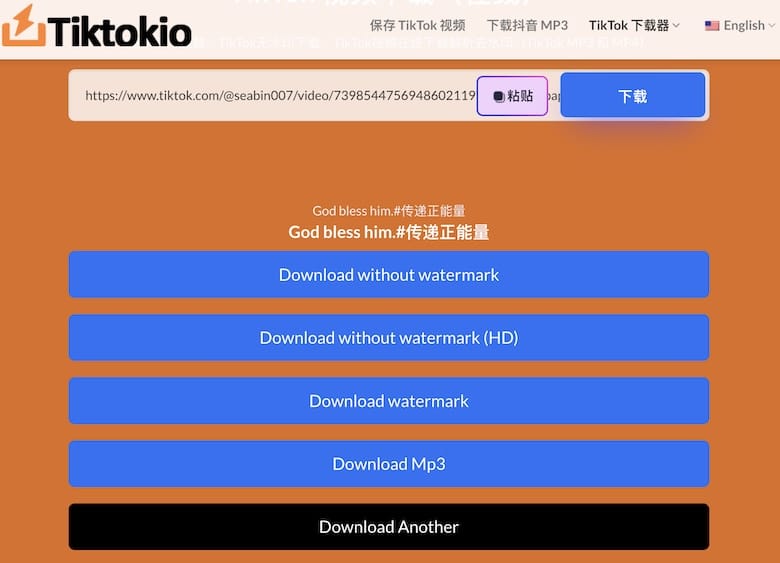 TikTokio - 在线TikTok视频下载工具